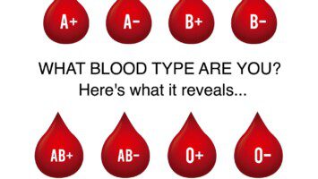 blood type personality