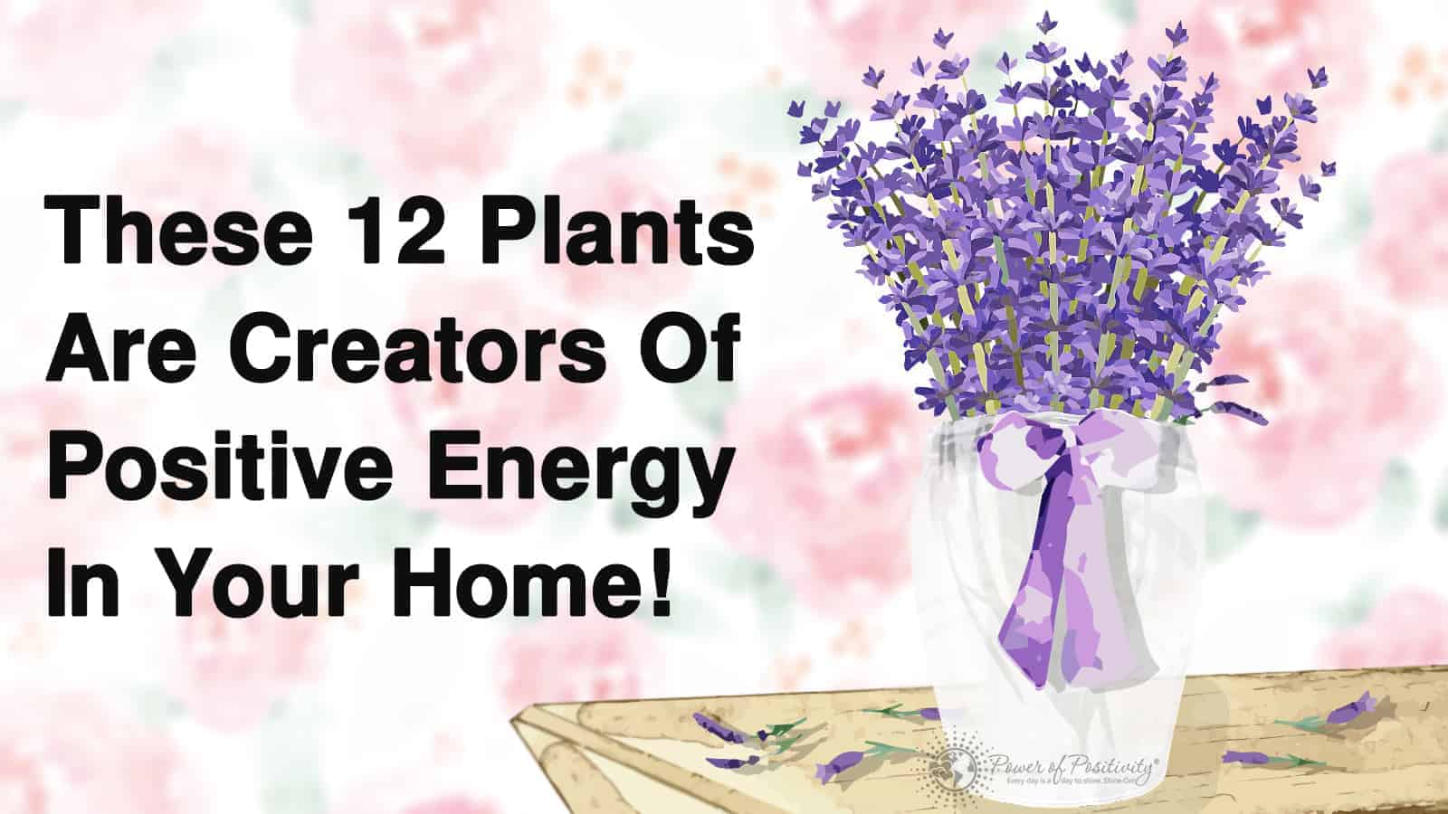 positive energy - plants